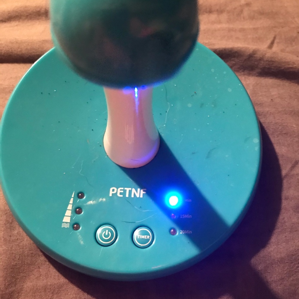 Petnf cat laser and timer